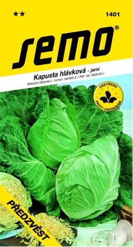 SEMO Kapusta hlávková Předzvěst