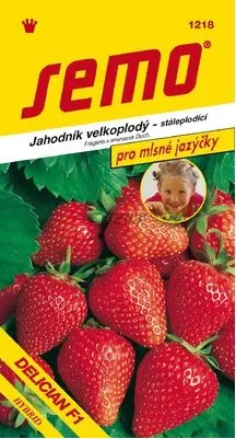 SEMO Jahodník velkoplodý Delician F1