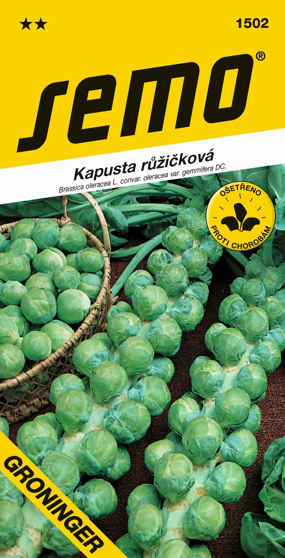 SEMO Kapusta růžičková Groninger