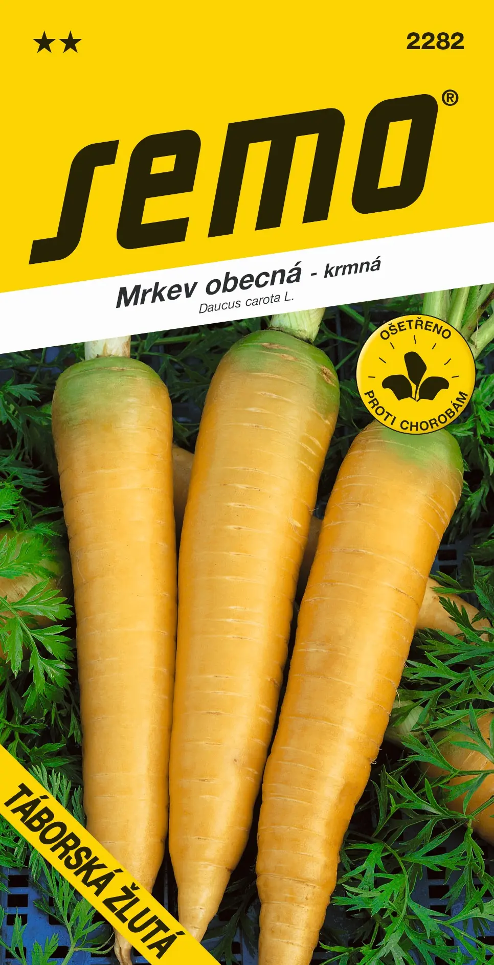 SEMO Mrkev obecná Táborská žlutá