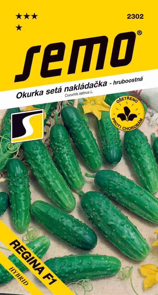 SEMO Okurka setá nakládačka Regina F1 – hruboostná