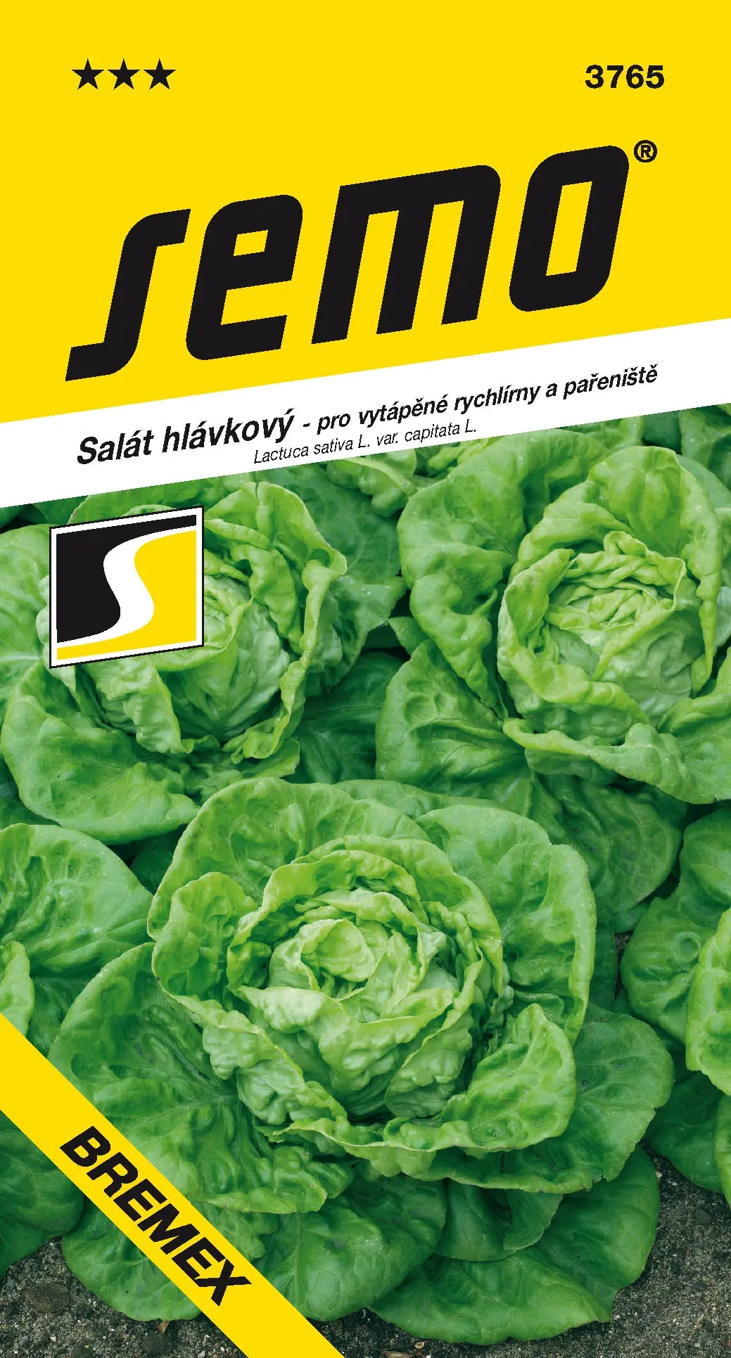 SEMO Salát hlávkový Bremex