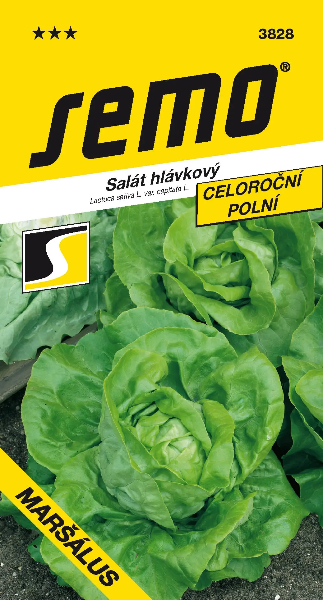 SEMO Salát hlávkový Maršálus