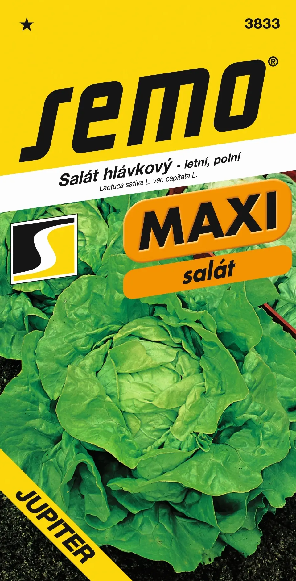 SEMO Salát hlávkový Jupiter