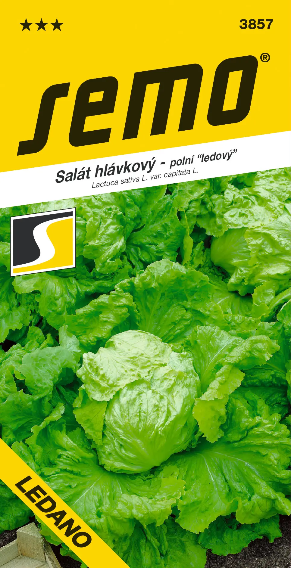 SEMO Salát hlávkový Ledano