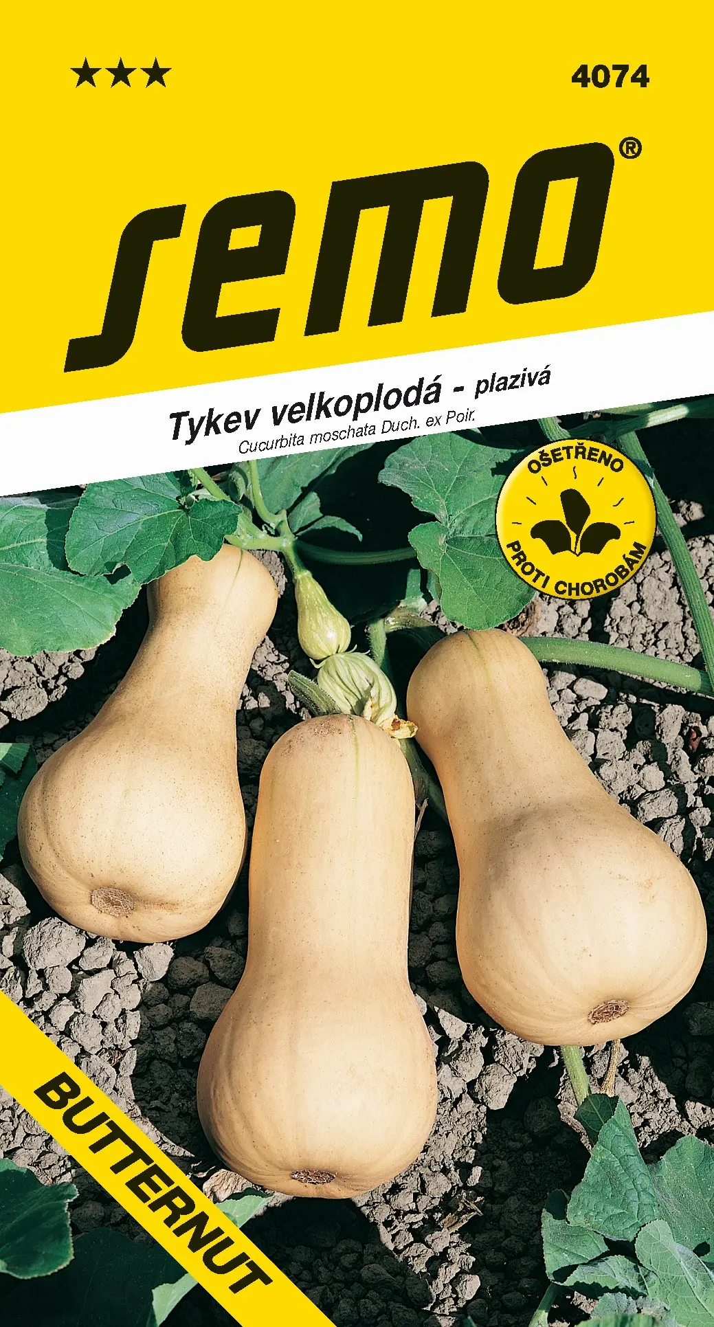SEMO Tykev muškátová Butternut