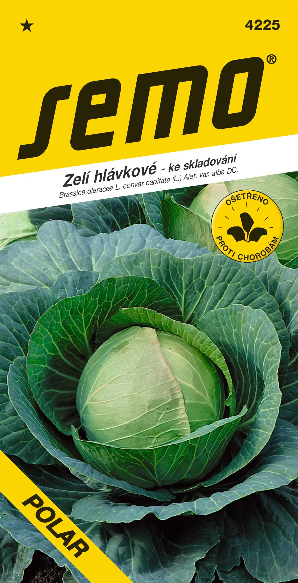 SEMO Zelí hlávkové Polar
