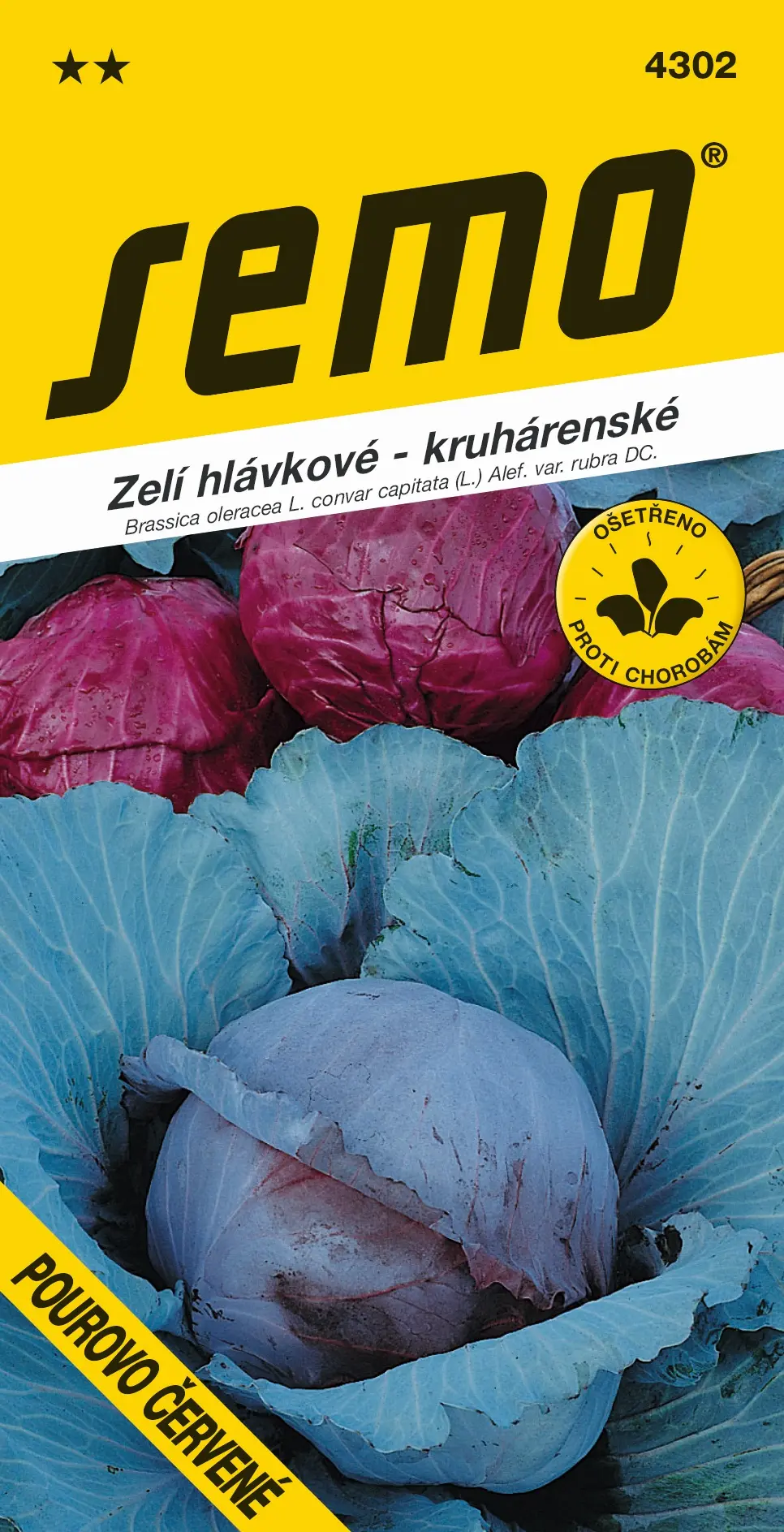 SEMO Zelí hlávkové Pourovo červené