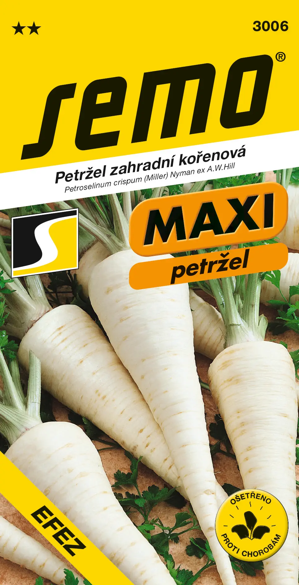 SEMO Petržel zahradní kořenová Efez