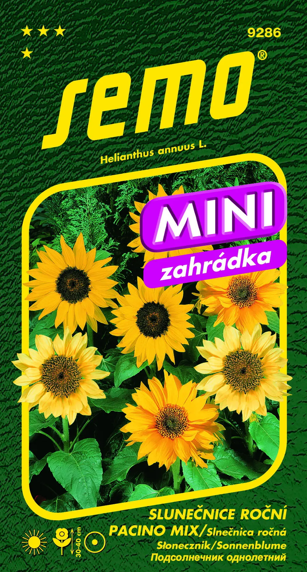 SEMO Slunečnice roční Pacino Mix
