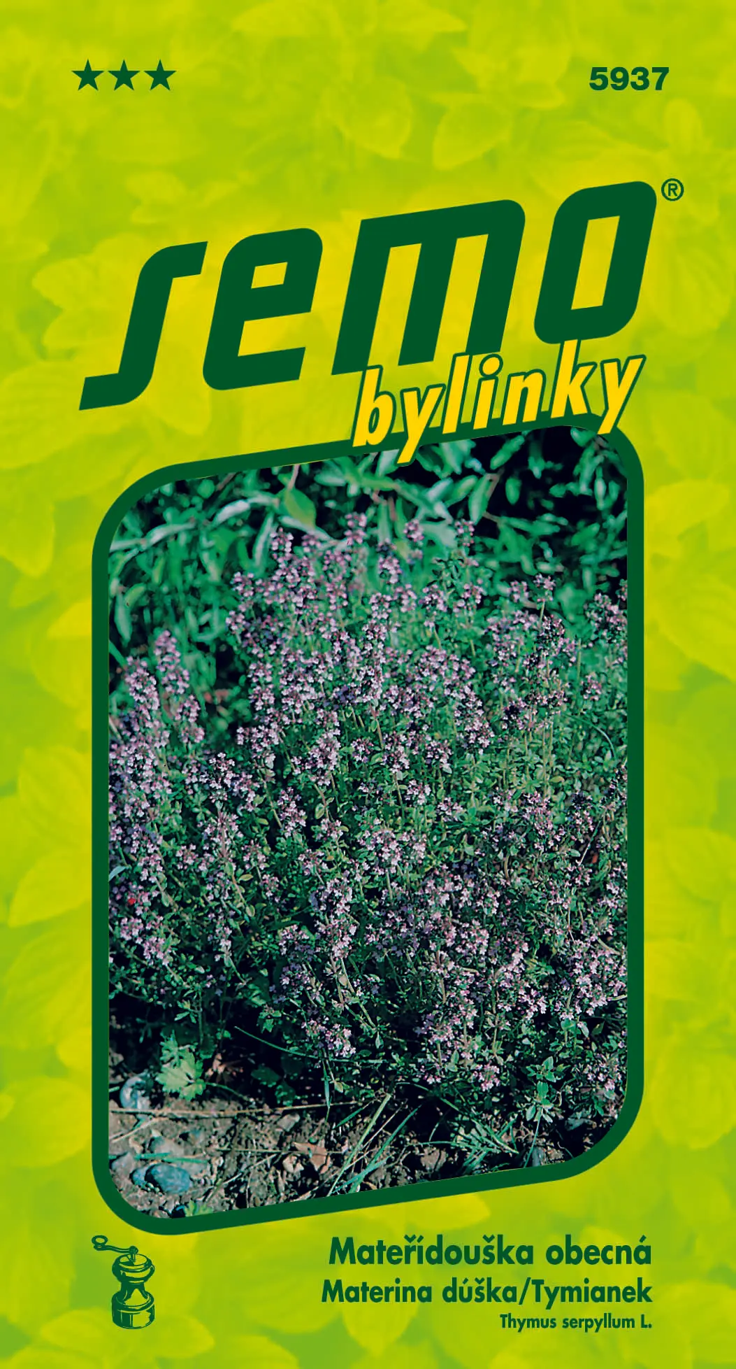 SEMO Mateřídouška obecná