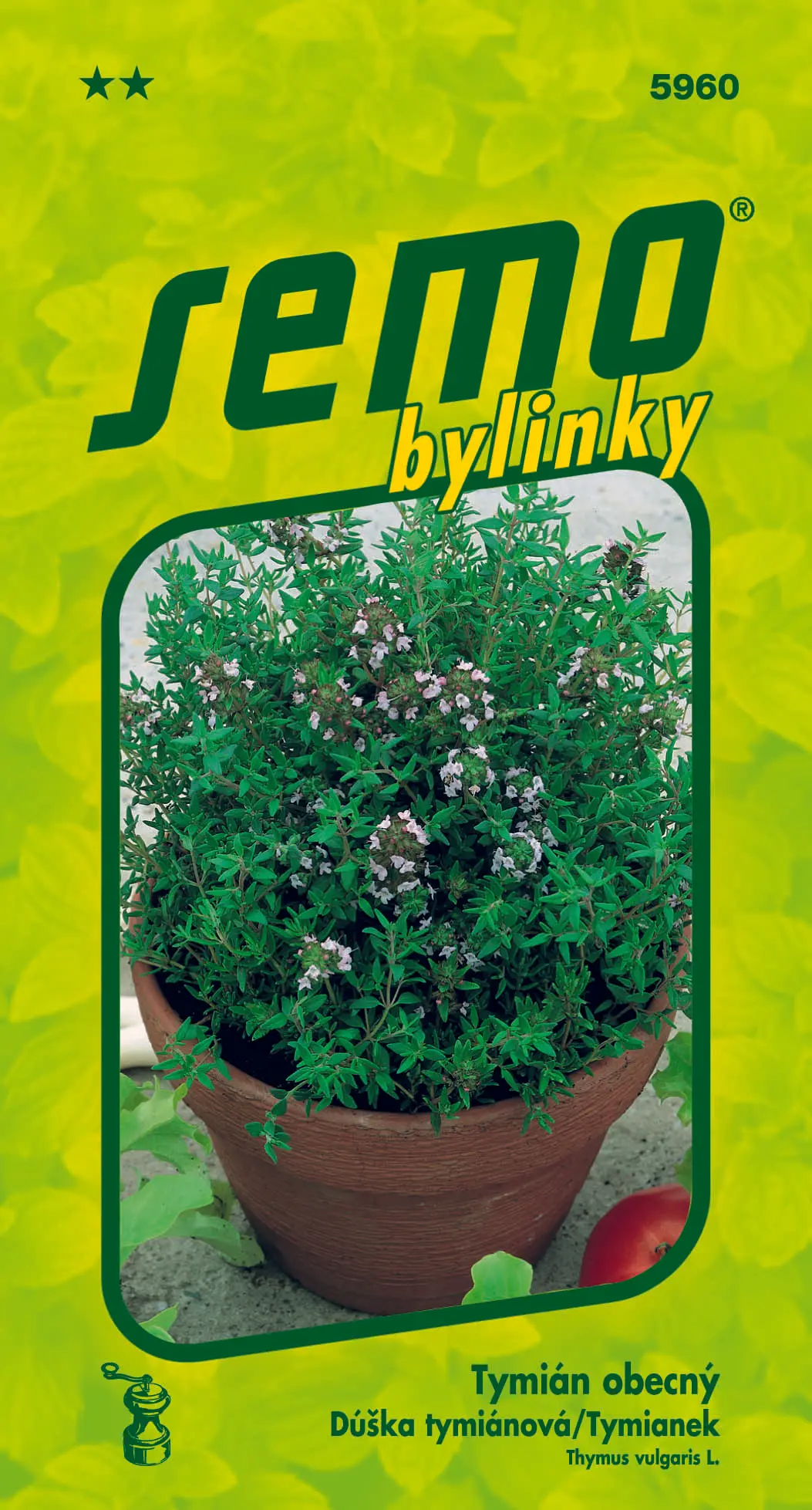SEMO Tymián obecný