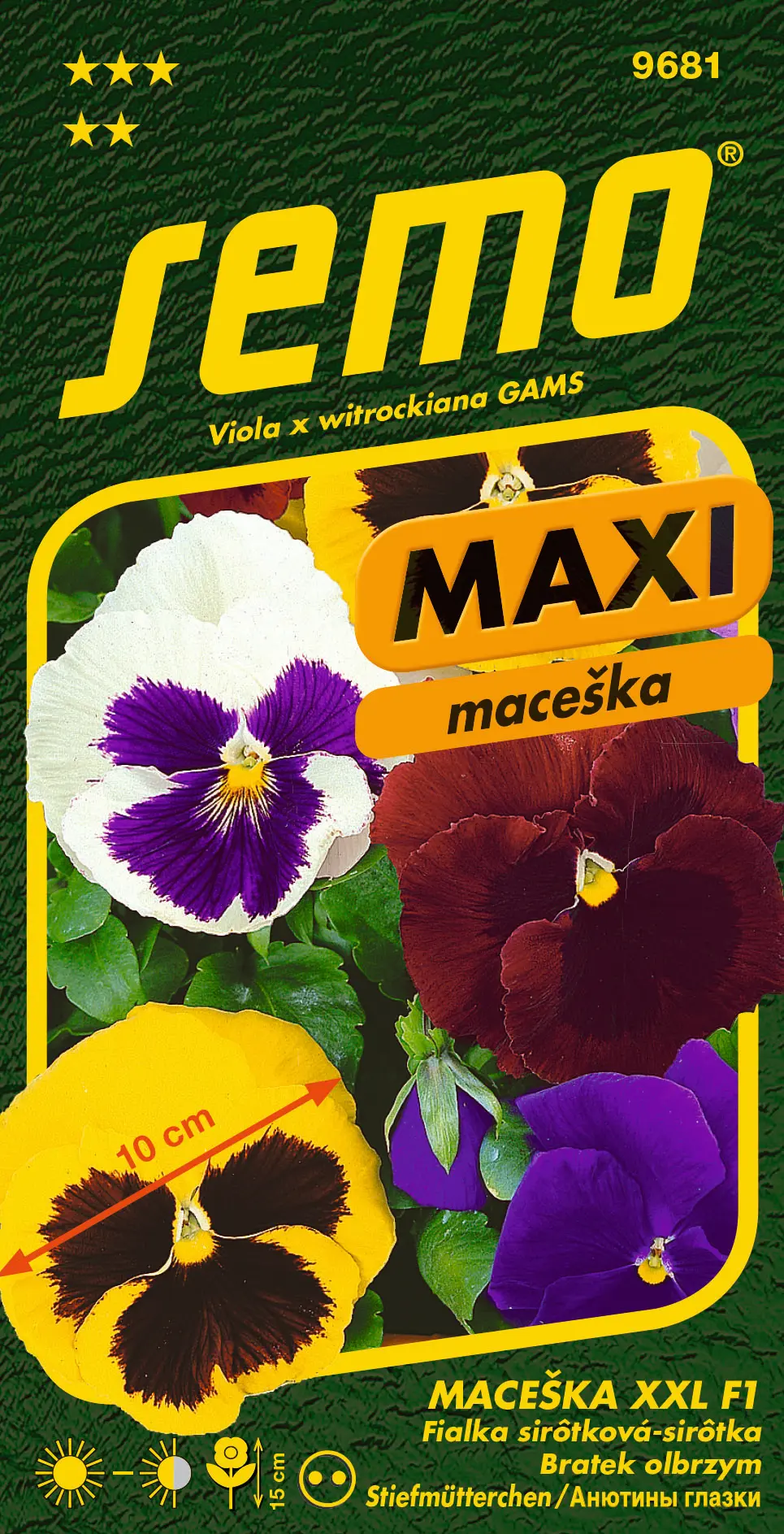 SEMO Maceška zahradní velkokvětá XXL