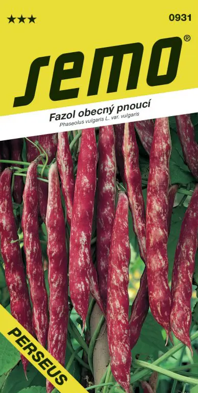 SEMO Fazol obecný pnoucí Perseus