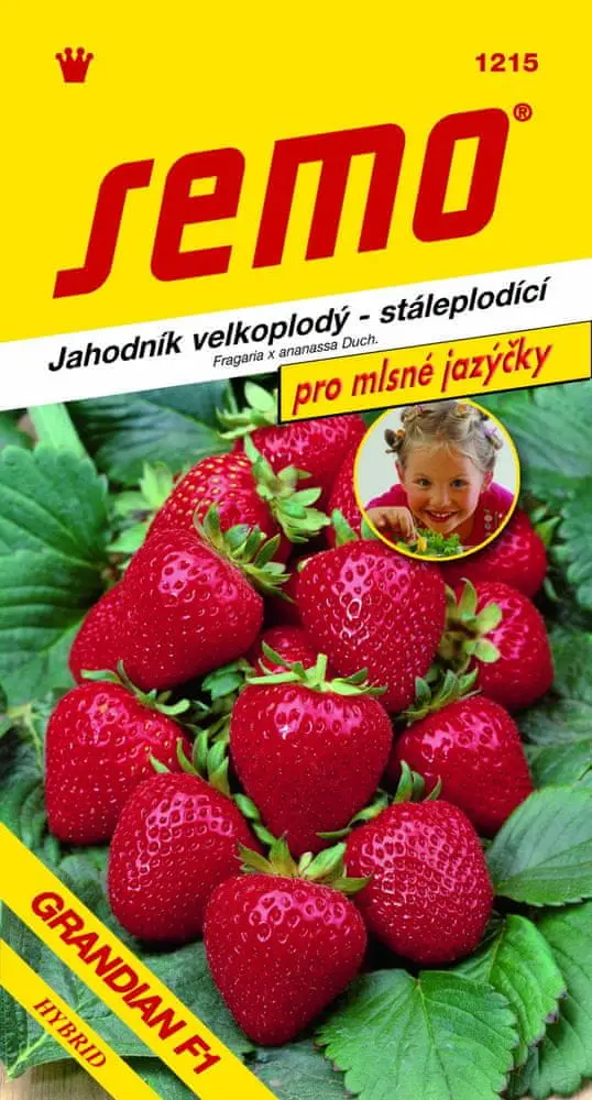 SEMO Jahodník velkoplodý Grandian F1