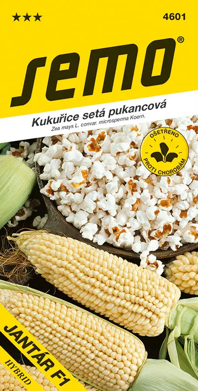SEMO Kukuřice setá pukancová Jantár F1