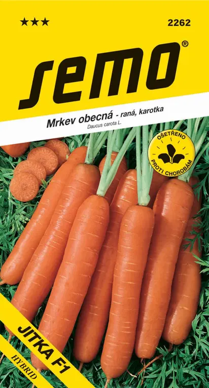 SEMO Mrkev obecná Jitka F1
