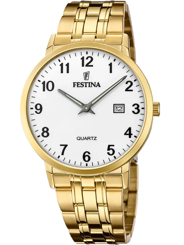 Festina F20513/1