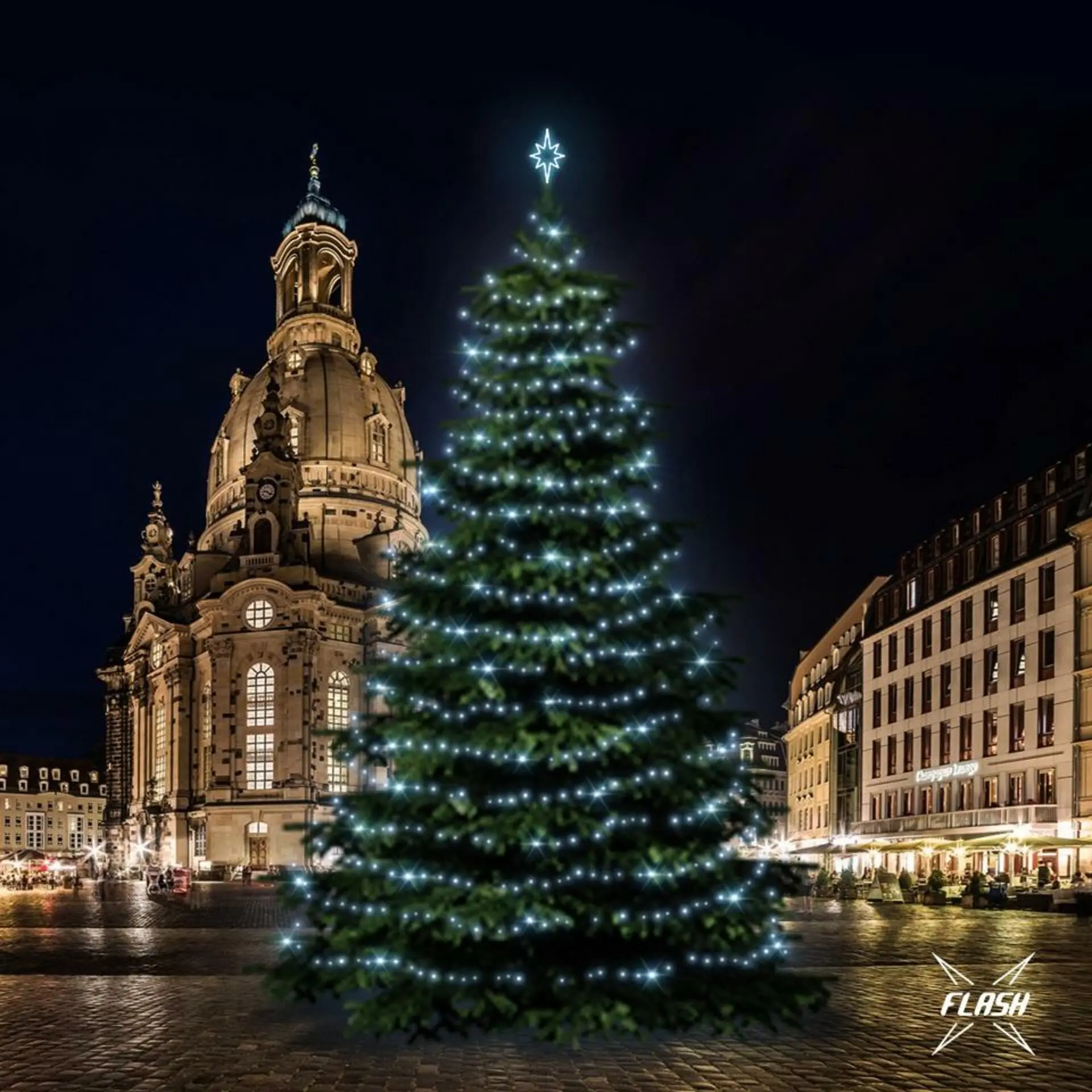 DecoLED LED světelná sada na stromy vysoké 18-20m, ledová bílá s Flash