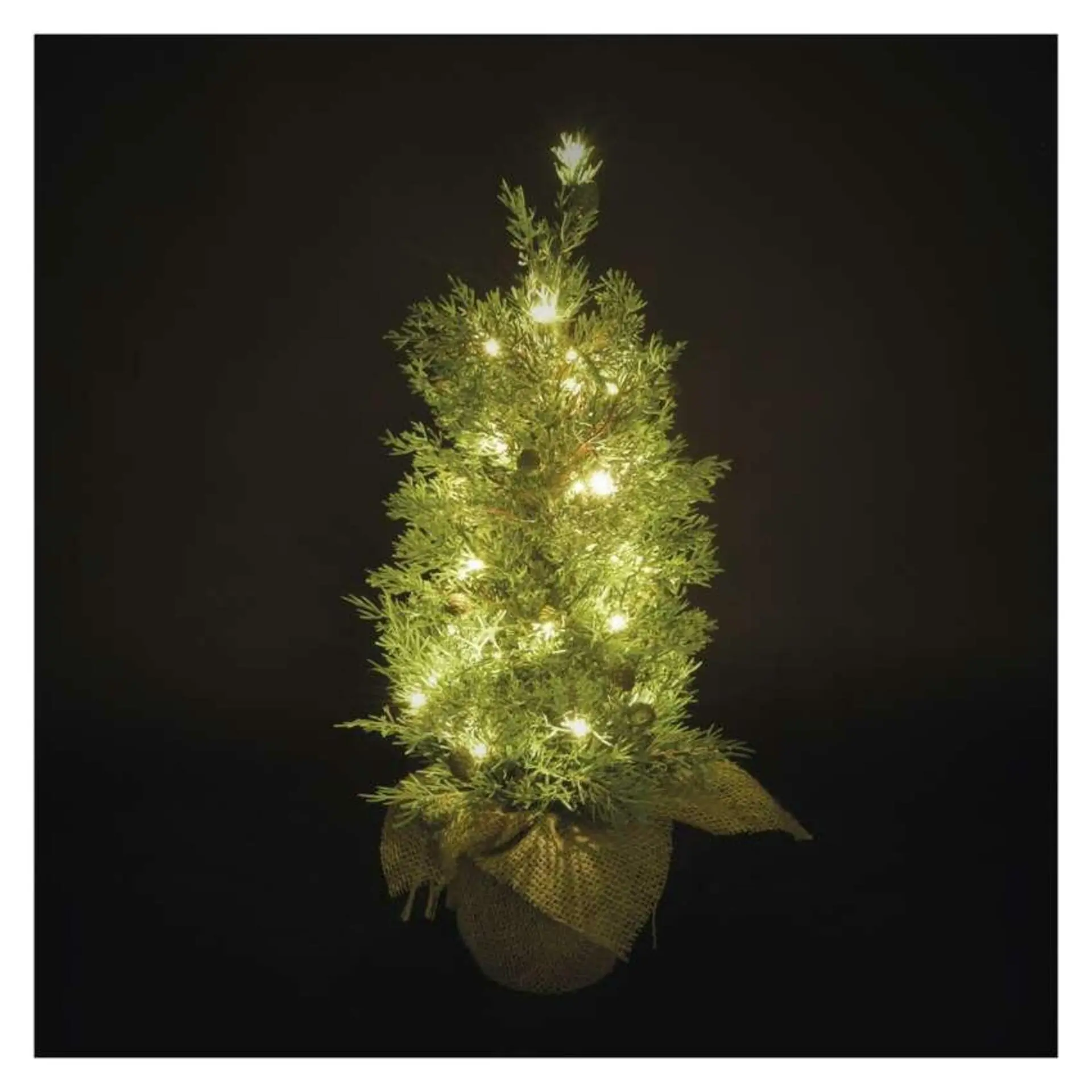 EMOS Vánoční světelný LED stromeček Skyla 50 cm zelený/teplý bílý