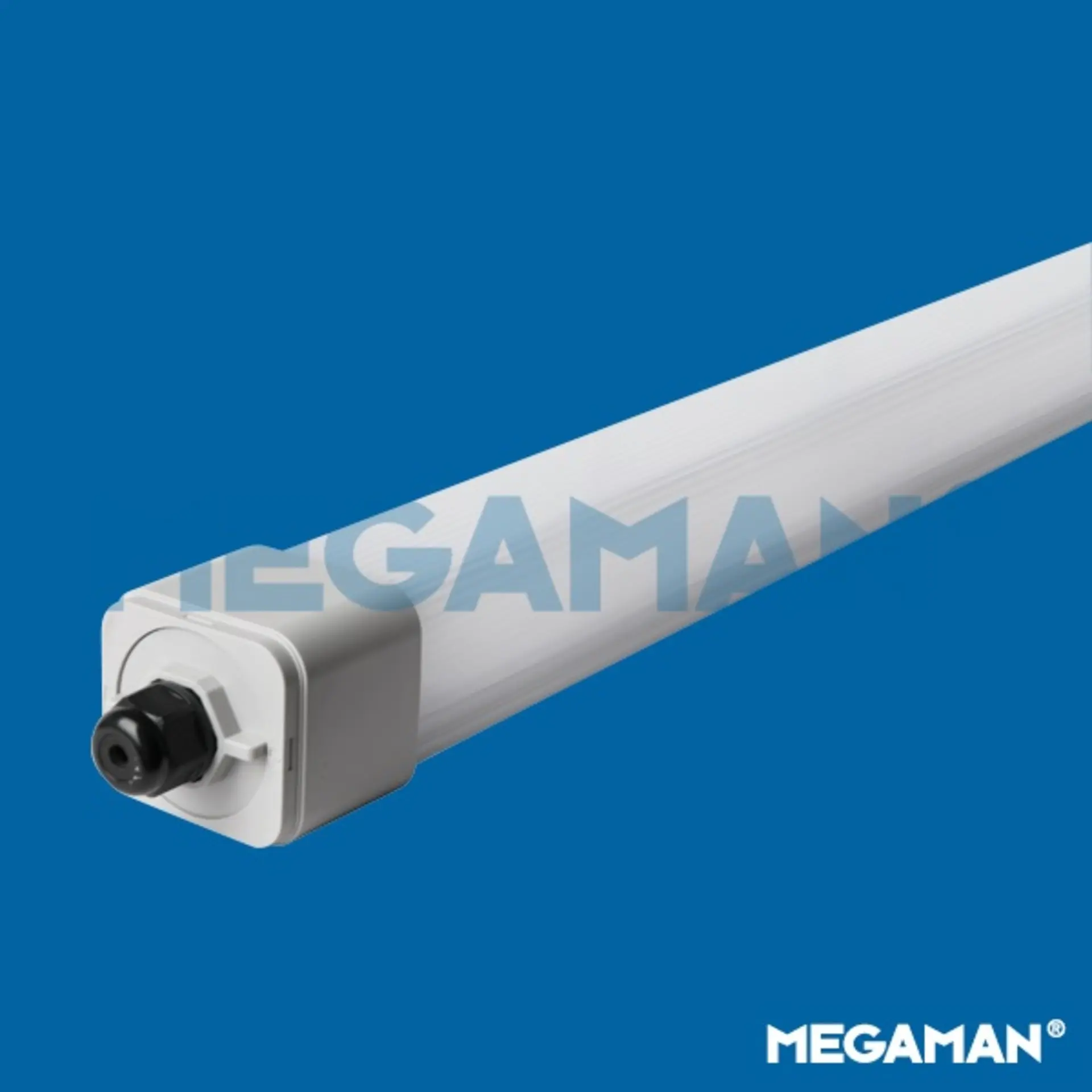 MEGAMAN LED prachotěs DINO2 FOB61600v1-pl 840 53W IP66