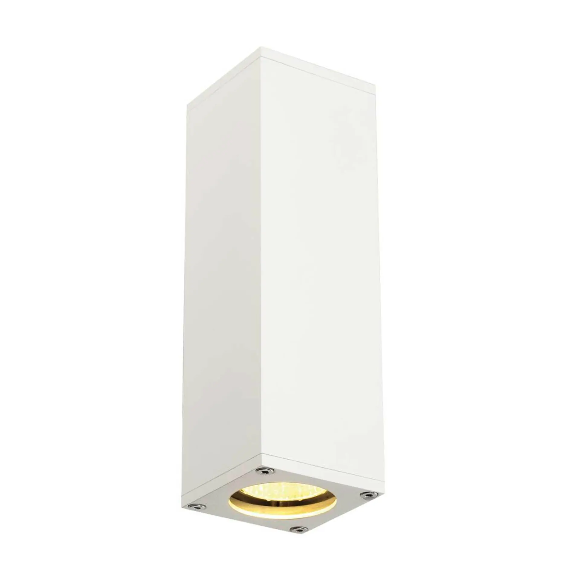 LA 1000327 THEO UP/DOWN QPAR51 nástěnné svítidlo bílá max. 2x50W - BIG WHITE (SLV)