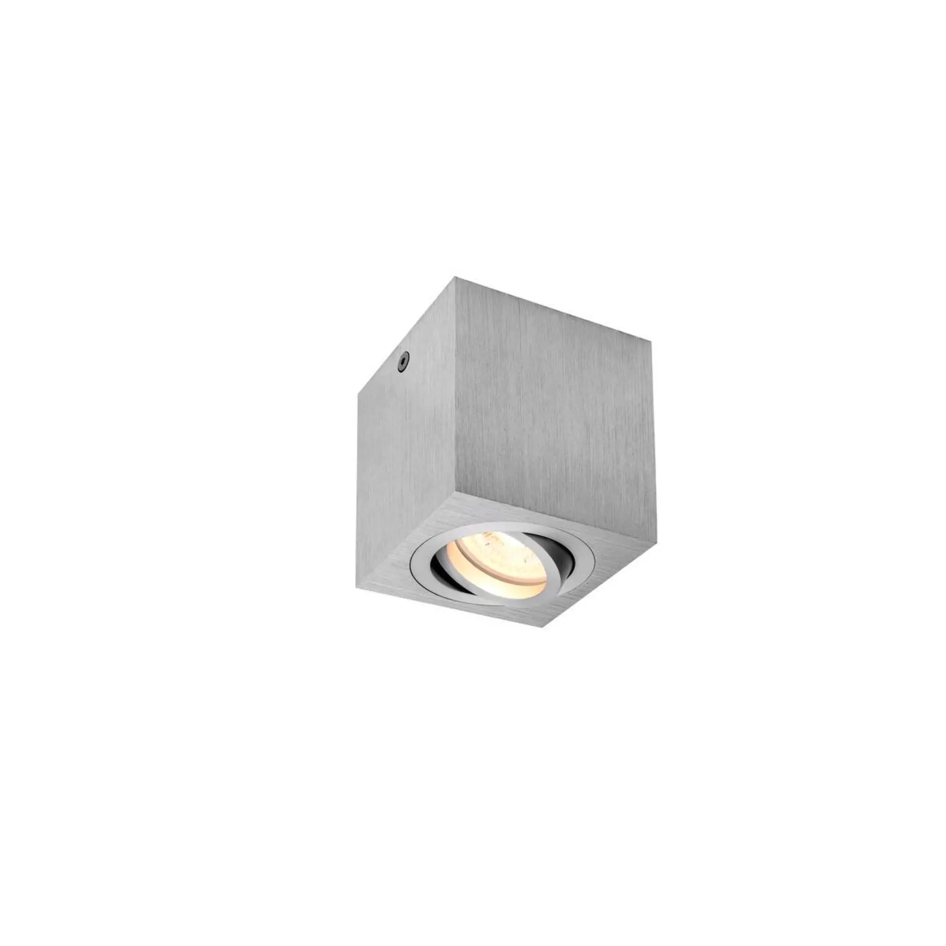 BIG WHITE SLV TRILEDO Single vnitřní stropní nástavbové svítidlo, QPAR51, kartáčovaný hliník, max. 10W 1002004
