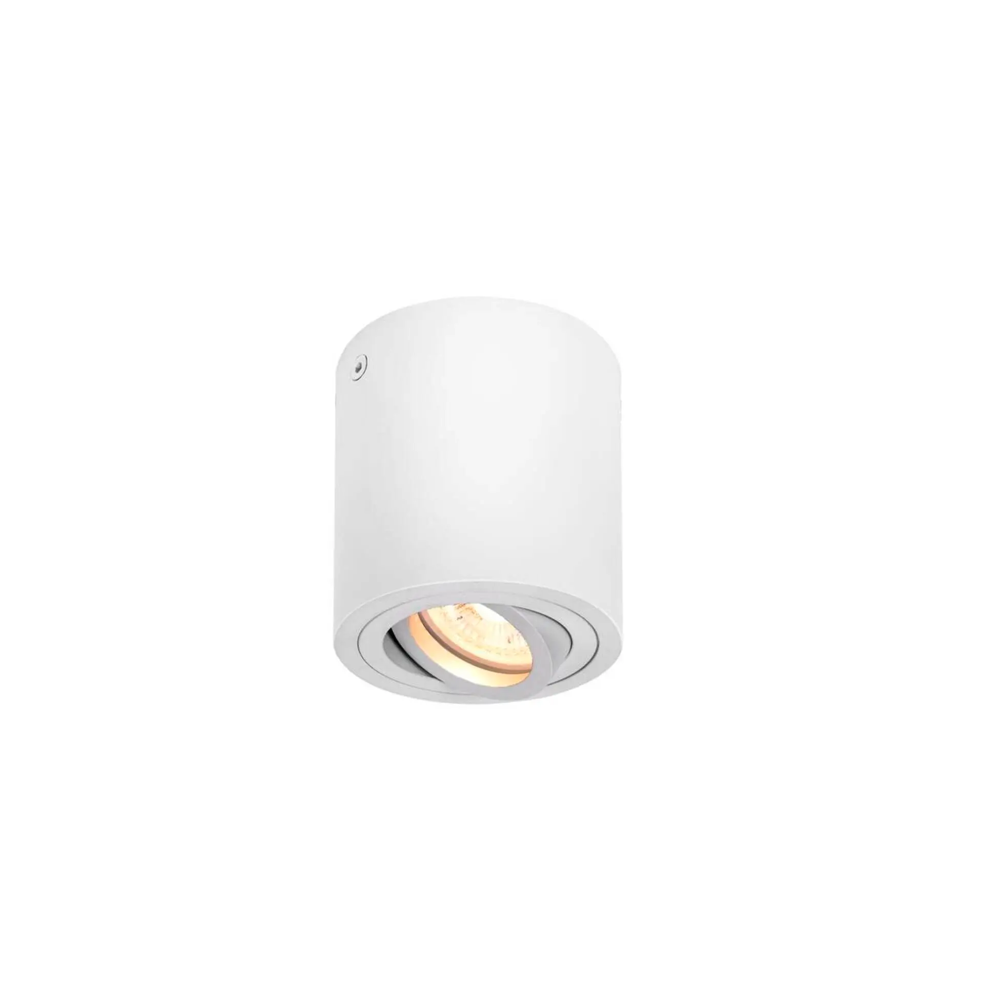 LA 1002011 TRILEDO CL, vnitřní  stropní nástavbové svítidlo, QPAR51, bílá, max. 10W - BIG WHITE (SLV)