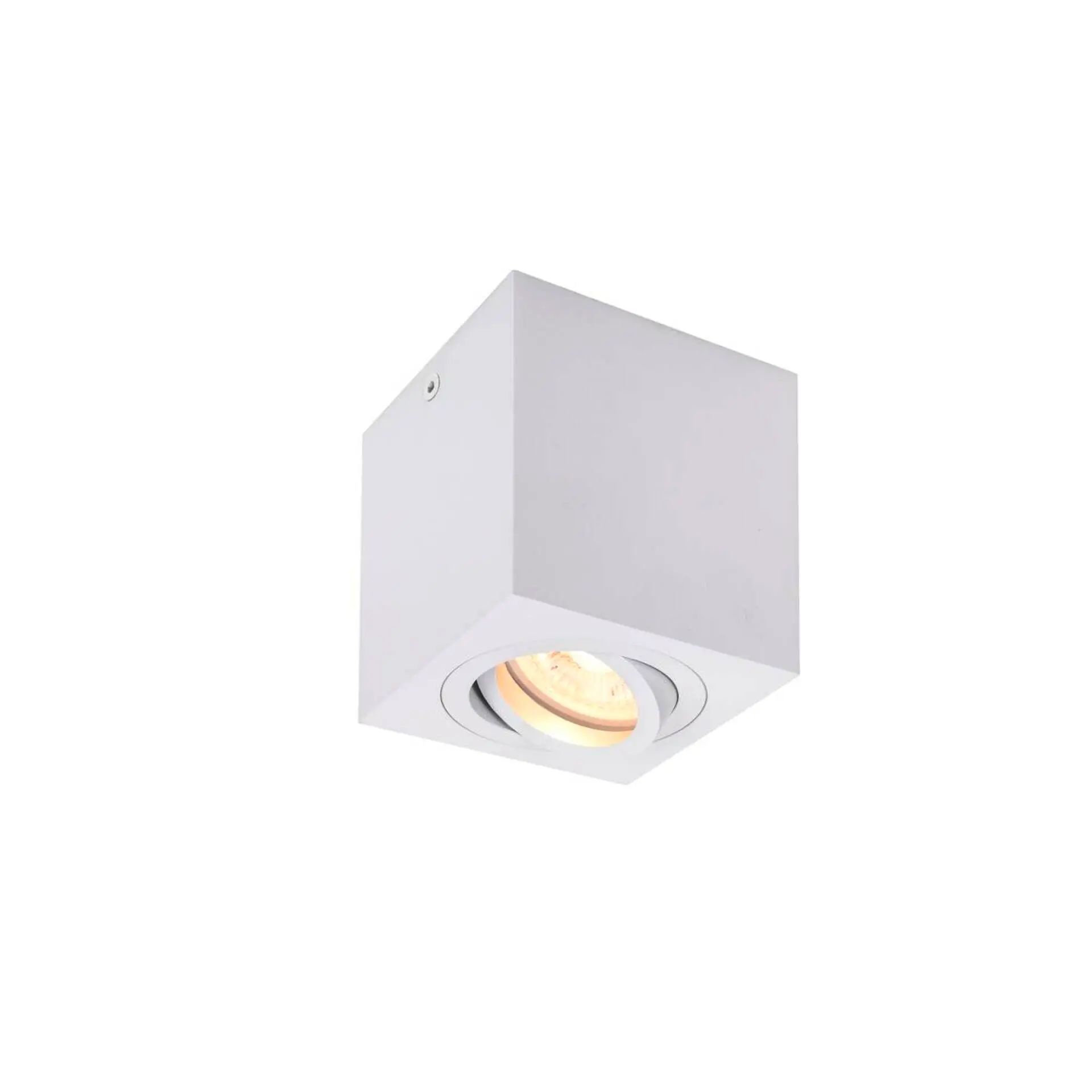 LA 1002015 TRILEDO Single, stropní nástavbové svítidlo, QPAR51, bílá, max. 10W - BIG WHITE (SLV)