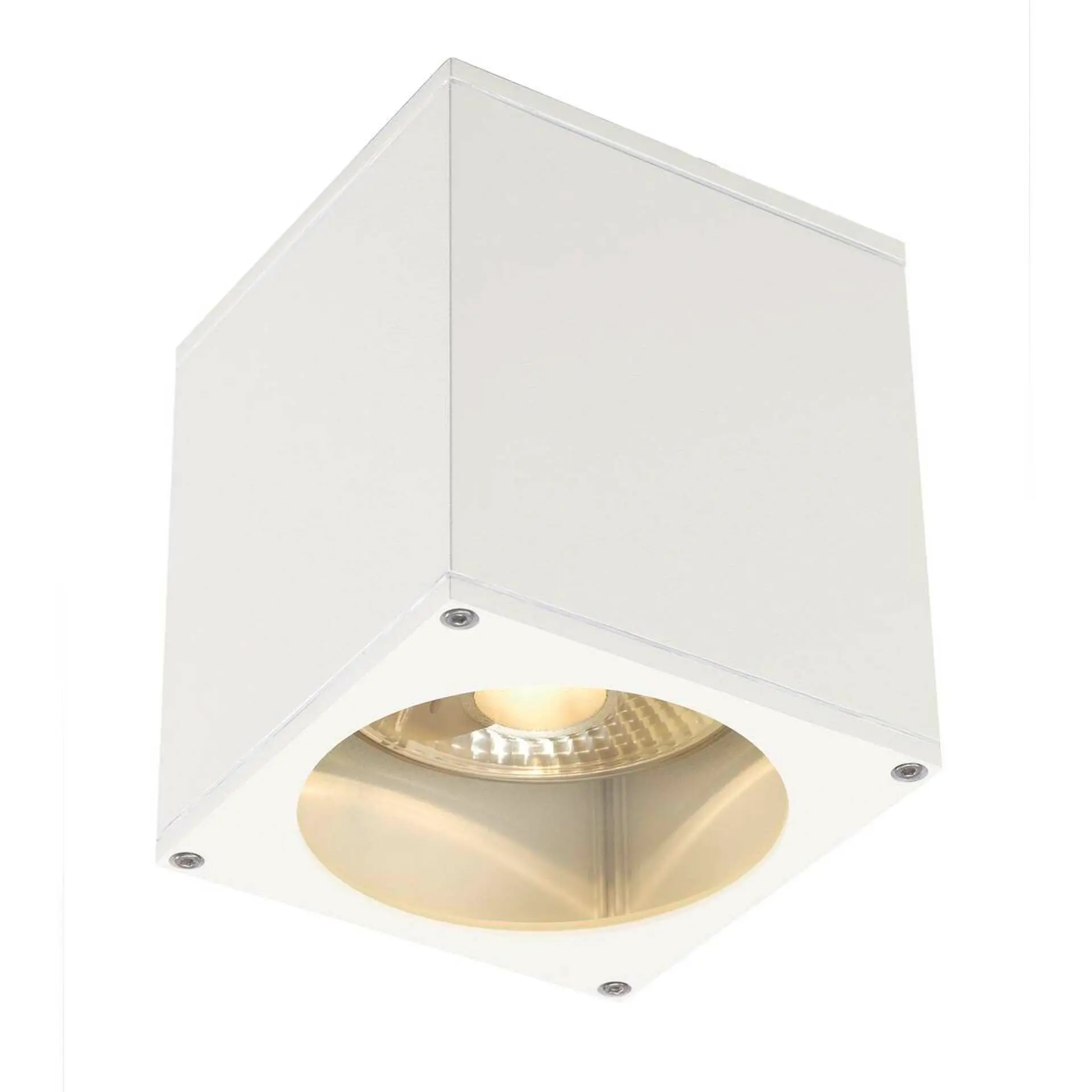BIG WHITE SLV BIG THEO, venkovní stropní svítidlo, QPAR111, IP44, hranaté, bílé, max. 75 W 229551