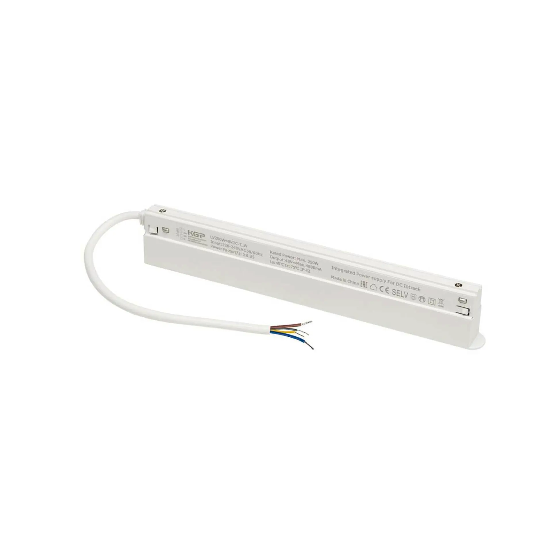 BIG WHITE SLV 48V SYSTEM Intrack LED driver, 48VDC, 250 W, včetně 300 cm připojovacího kabelu pro 220-240VAC a průchozí DALI, bílý 1009001