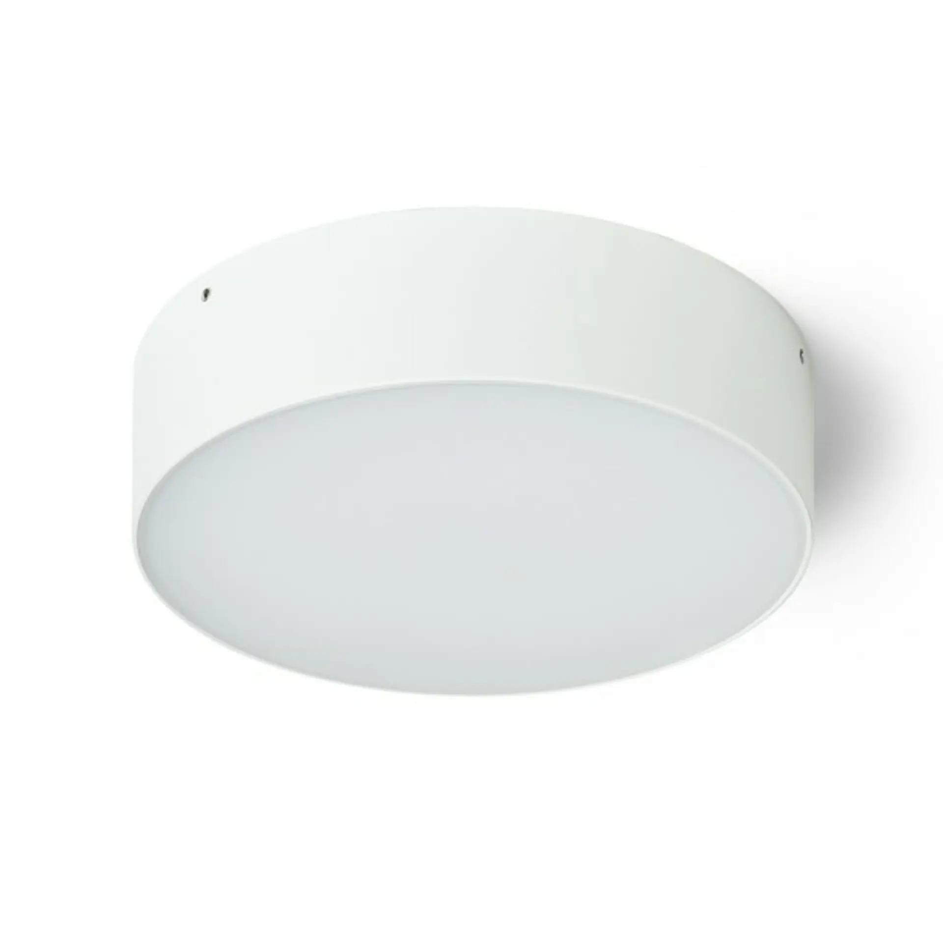 RED R14125 LARISA OUT 22 přisazená bílá 230V LED 20W IP65 3000K 4000K 5700K - RED - DESIGN RENDL