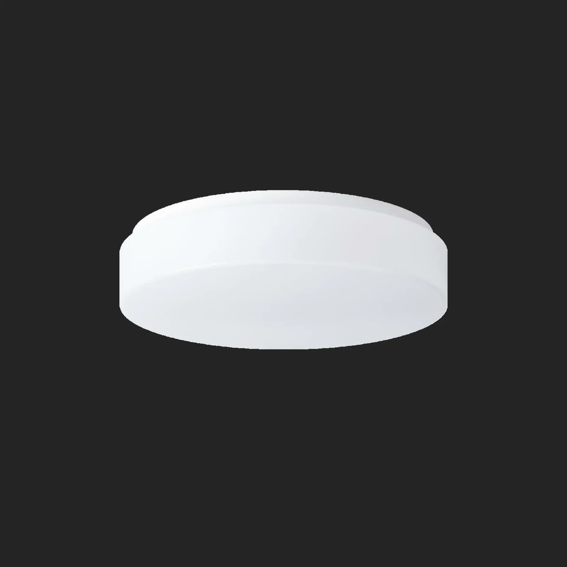 OSMONT DEL53822 DELIA 1 stropní/nástěnné plastové svítidlo IP54 4000 K 19W LED nouzové kombinované 3 h