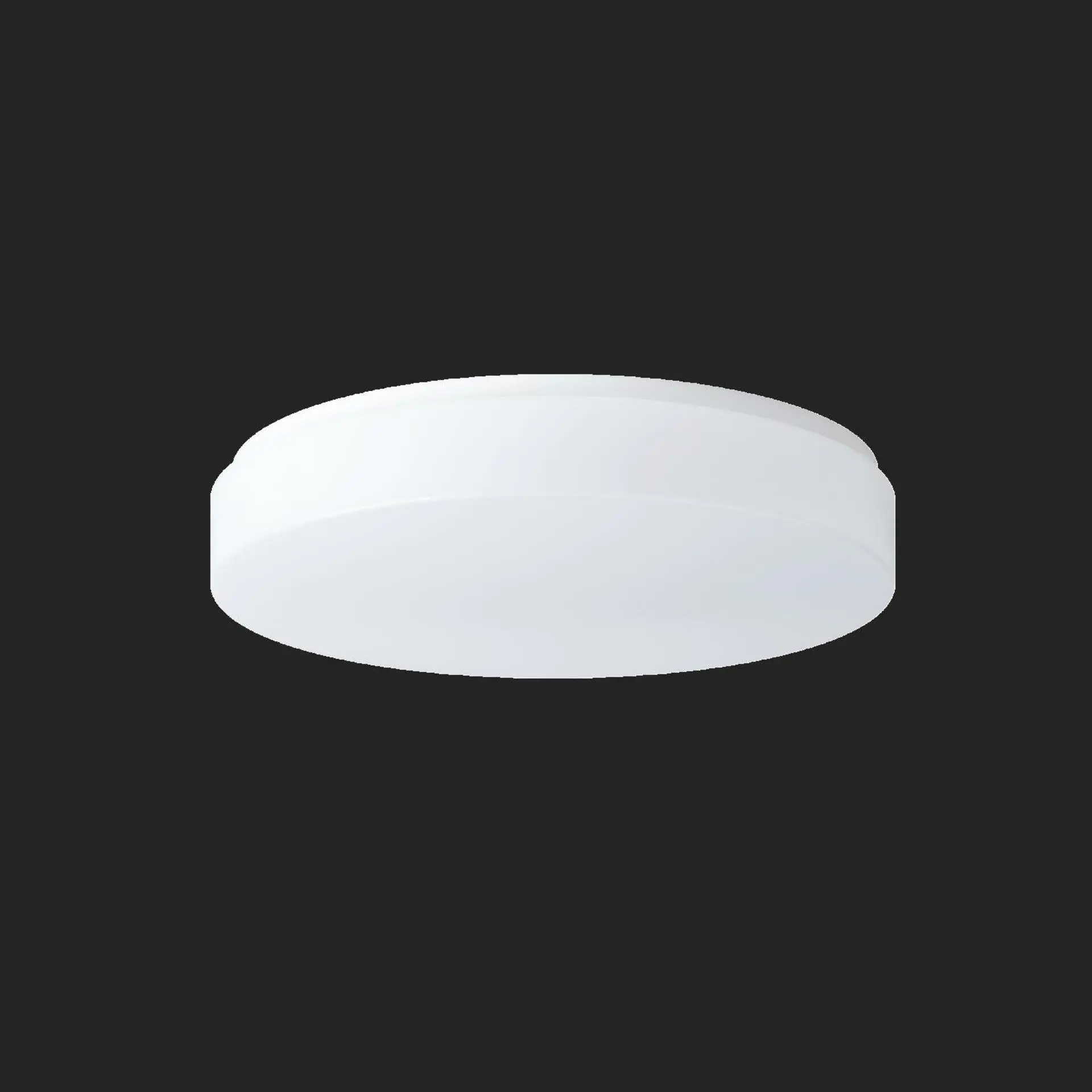 OSMONT DEL56815 DELIA 2 stropní/nástěnné plastové svítidlo IP54 4000 K 33W LED HF nouzové kombinované 3 h