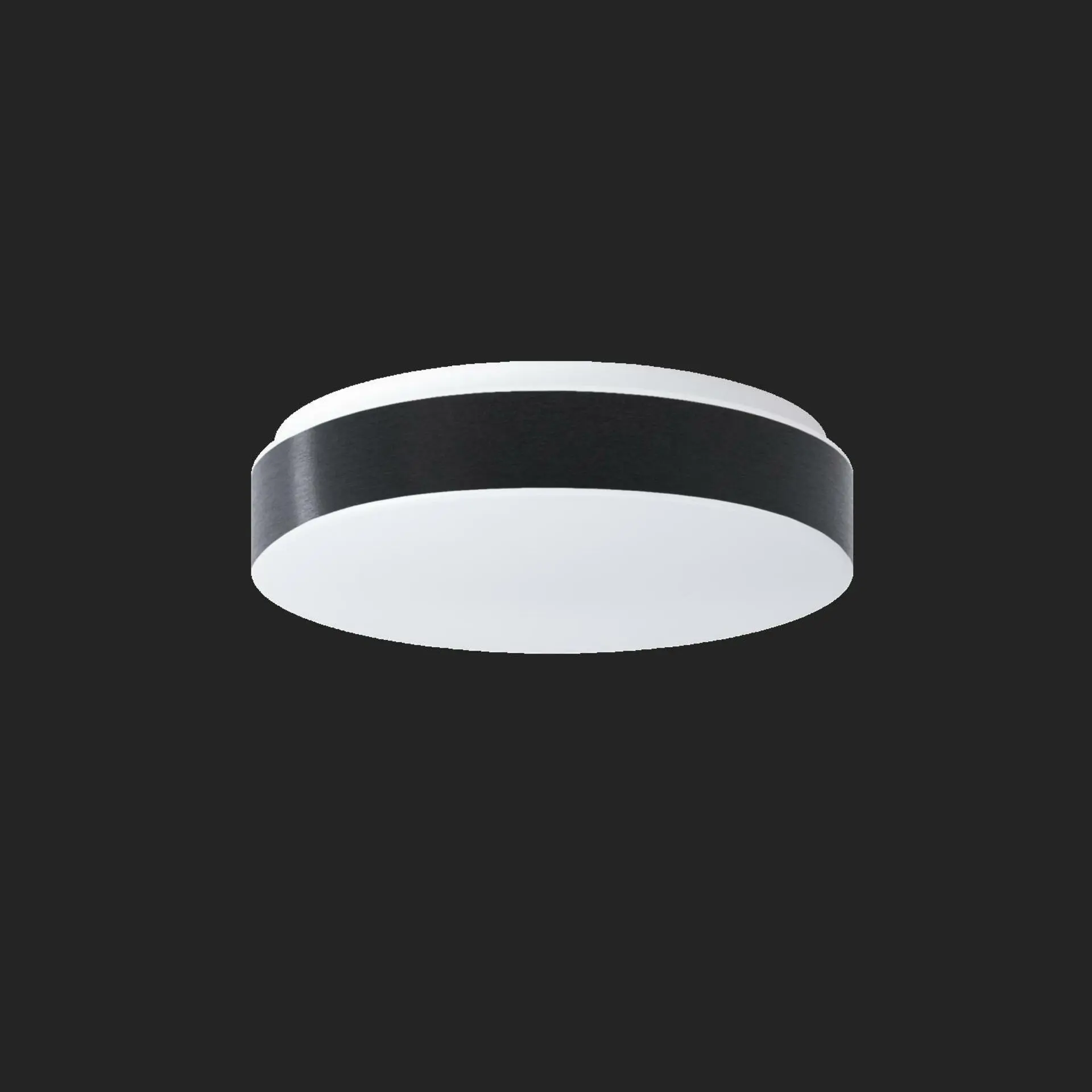 OSMONT DEL69011 DELIA C1 stropní/nástěnné plastové svítidlo IP54 3000 K 14W LED HF nouzové kombinované 3 h