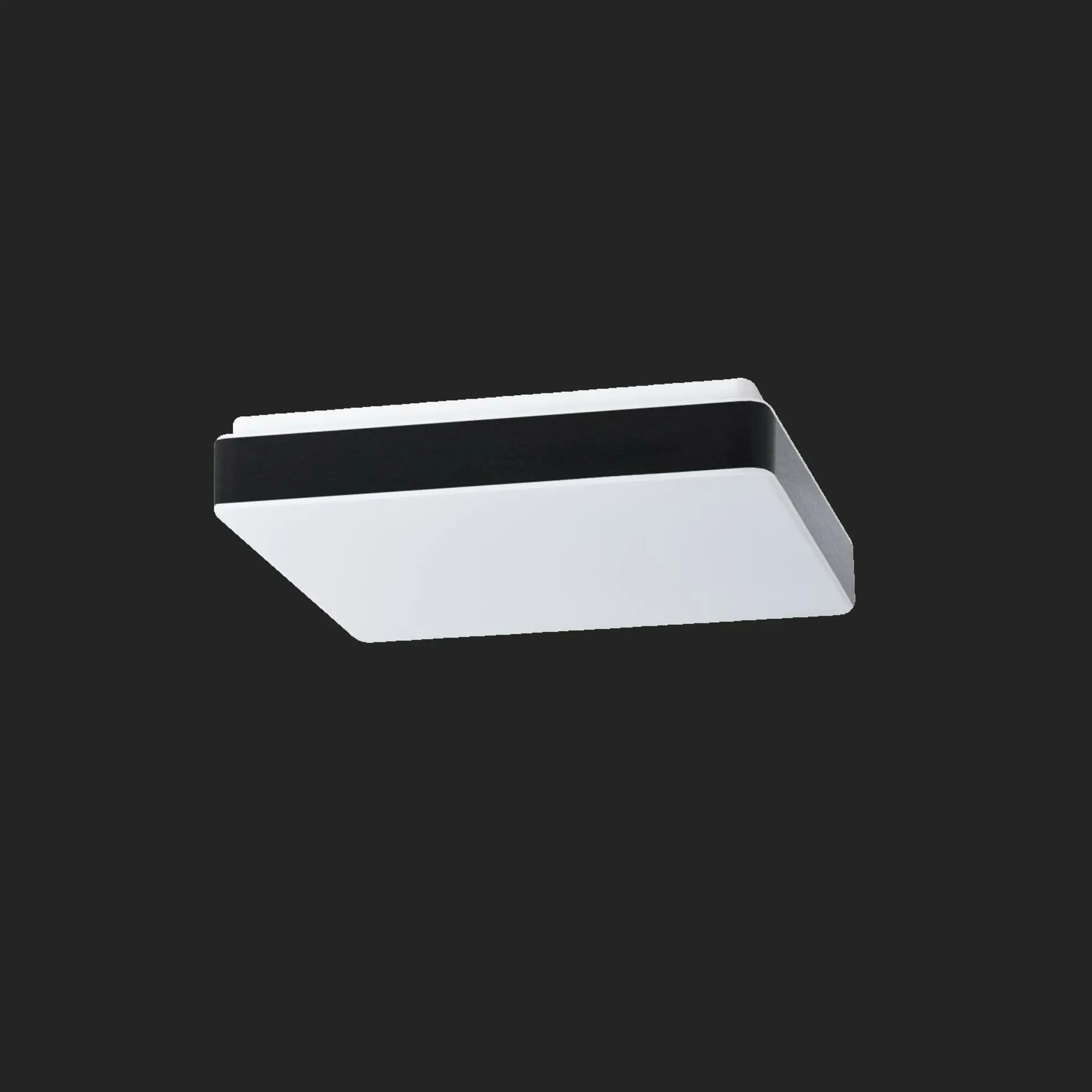 OSMONT TIL69297 TILIA C2A stropní/nástěnné plastové svítidlo bílá / bílo - černá IP54 3000 K 25W LED nouzové kombinované 3 h