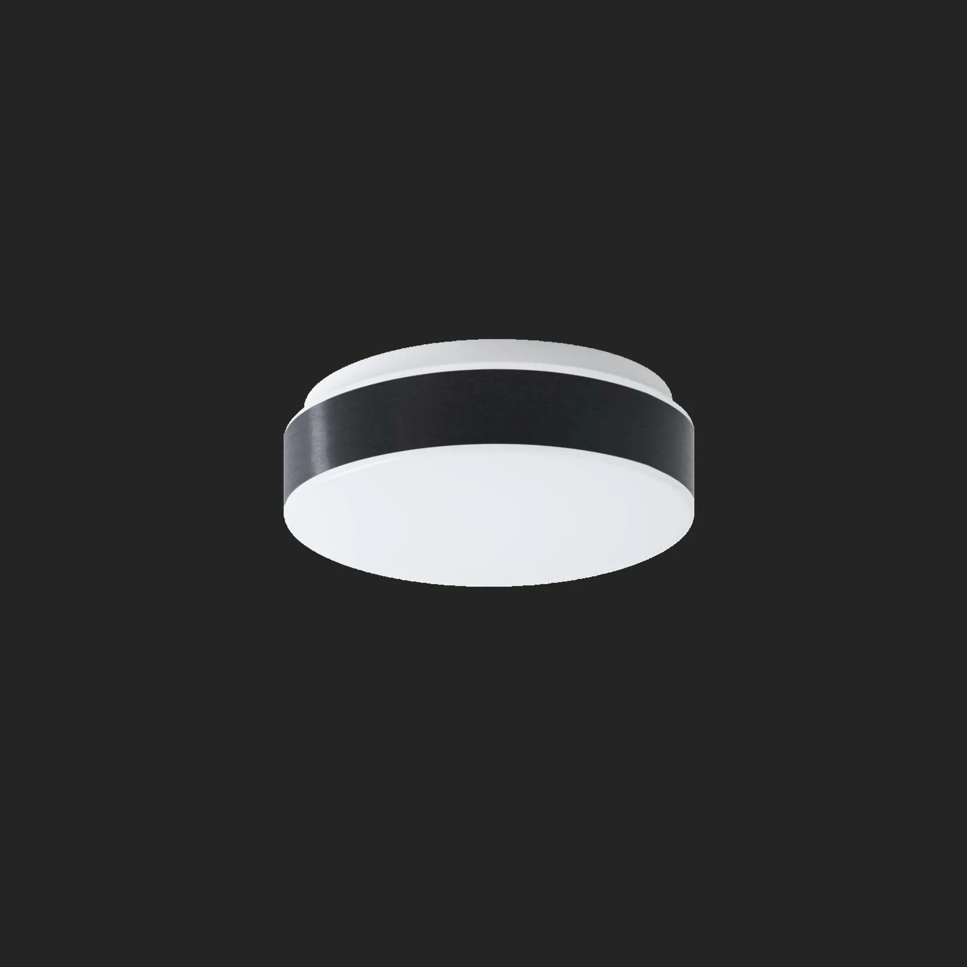 OSMONT DEL69506 DELIA C1A stropní/nástěnné plastové svítidlo IP54 4000 K 1W LED