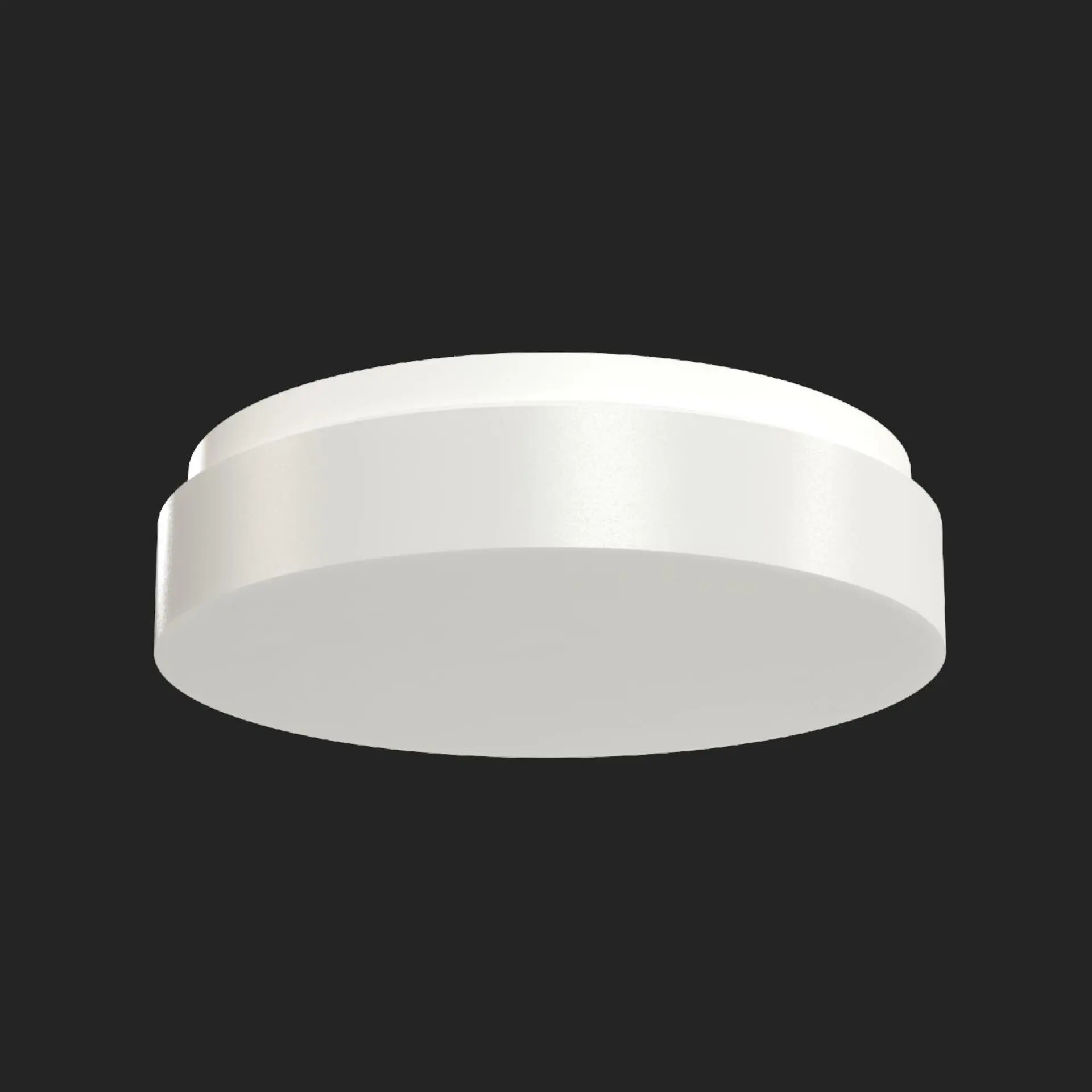 OSMONT IRI71098 IRIDA 3 stropní/nástěnné plastové svítidlo IP65 3000 K 14W LED nouzové kombinované 3 h