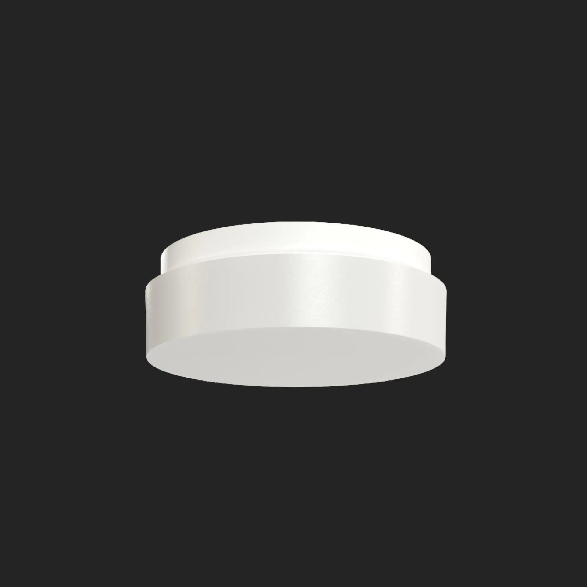 OSMONT IRI71571 IRIDA 1 stropní/nástěnné plastové svítidlo IP65 4000 K 1W LED