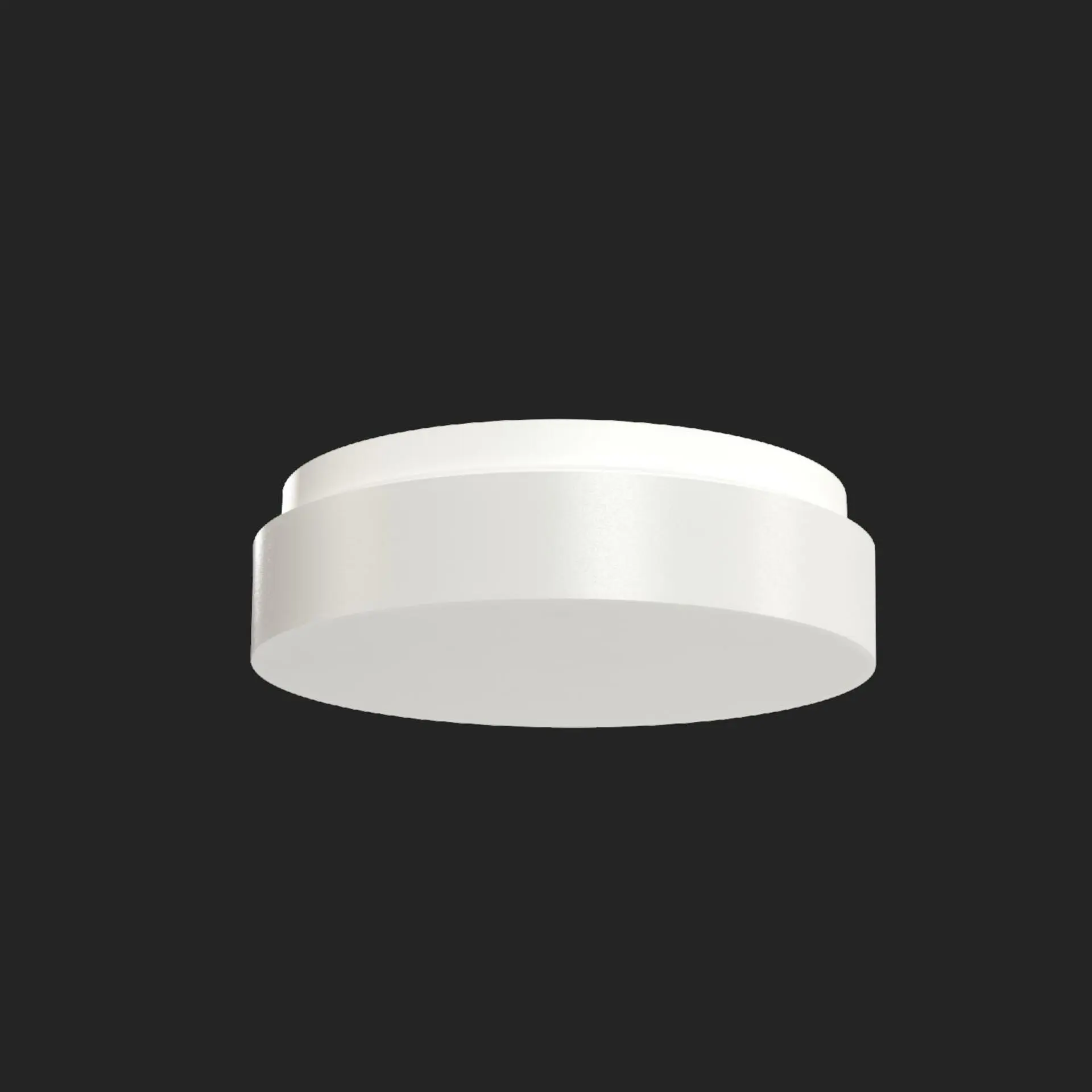 OSMONT IRI71581 IRIDA 2 stropní/nástěnné plastové svítidlo IP65 4000 K 11W LED nouzové kombinované 3 h