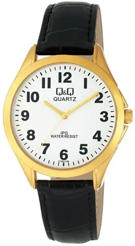 Pánské hodinky Q&Q C192J104Y