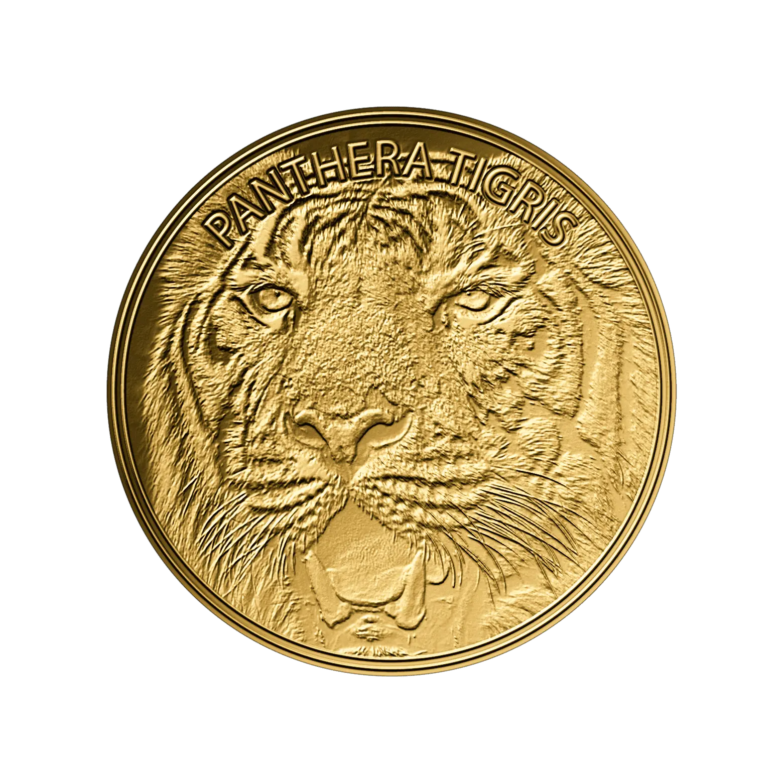Zlatá mince Tiger 999/1000 zlatý dárek