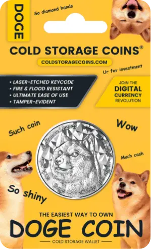 Stříbrná mince Dogecoin 2021 – 1 oz, 0,999