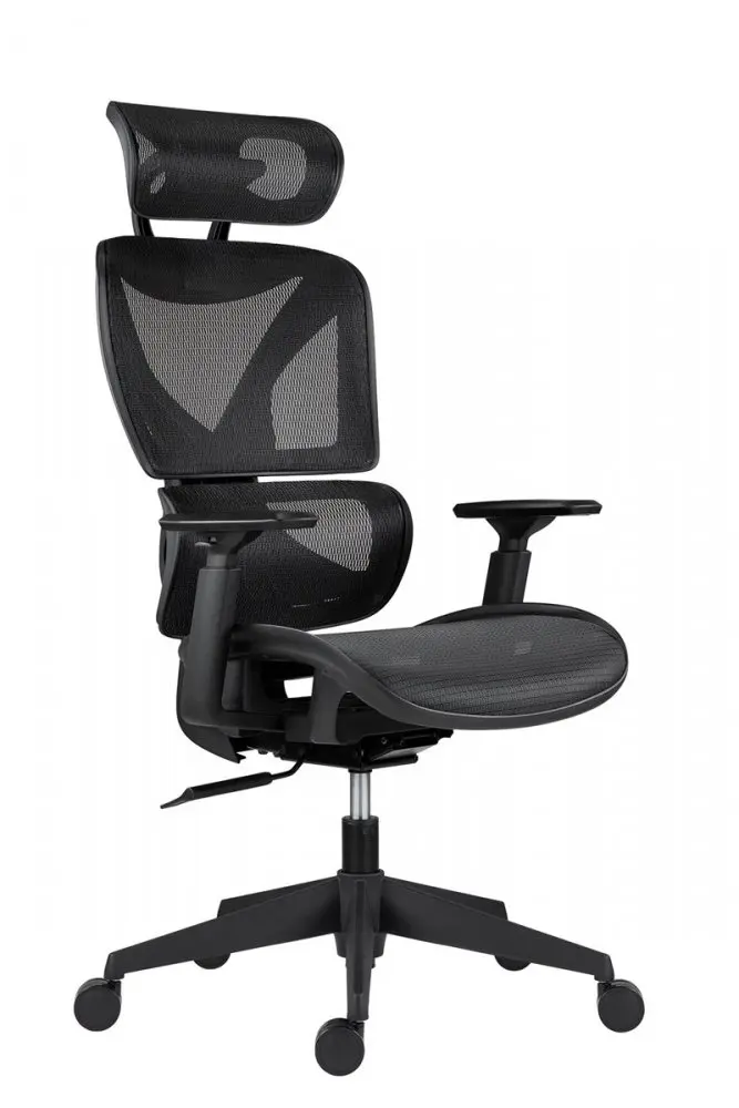 Kancelářská ergonomická židle ESTER — síť, černá, nosnost 130 kg