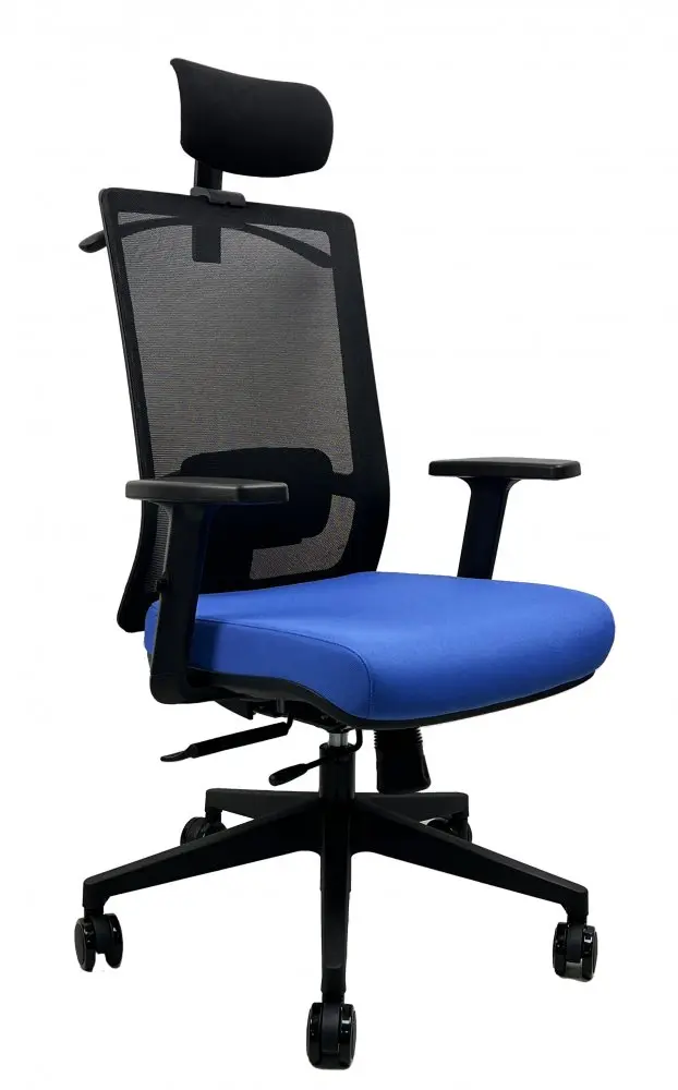 Kancelářská ergonomická židle DVIS — více barev Modrá