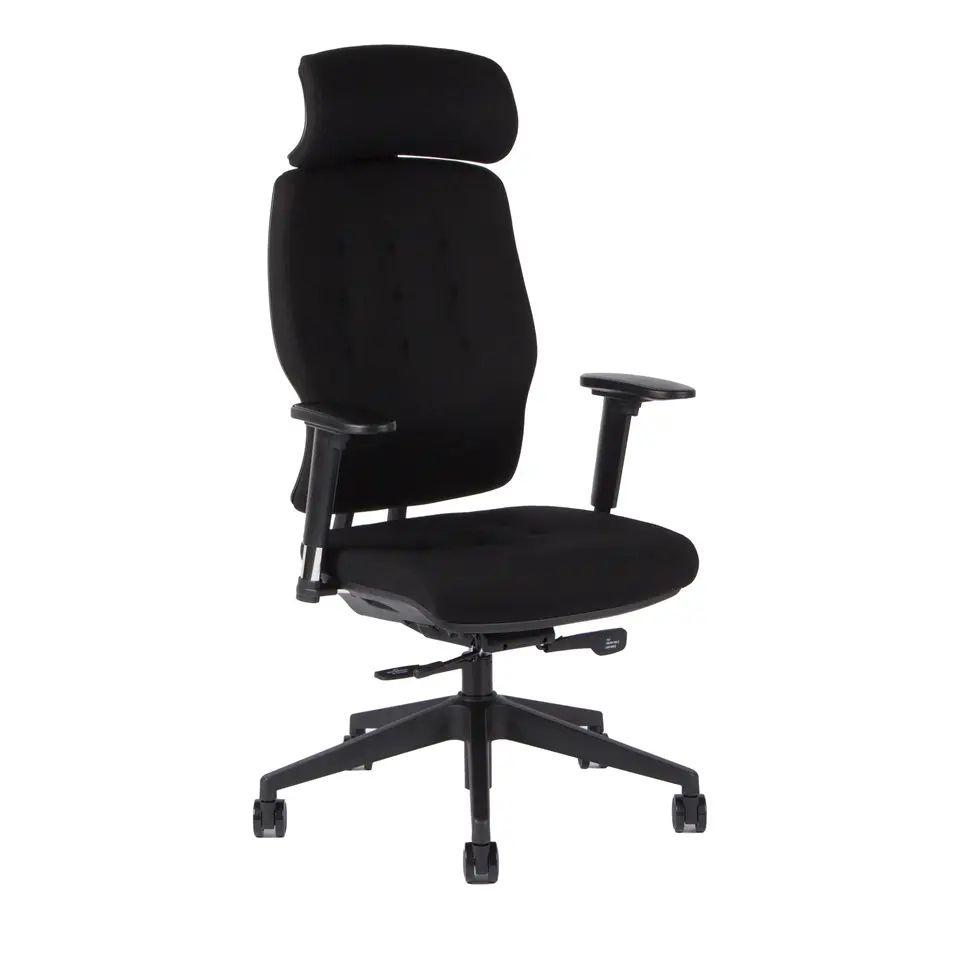 Kancelářská ergonomická židle SELENE — více barev Černá F91