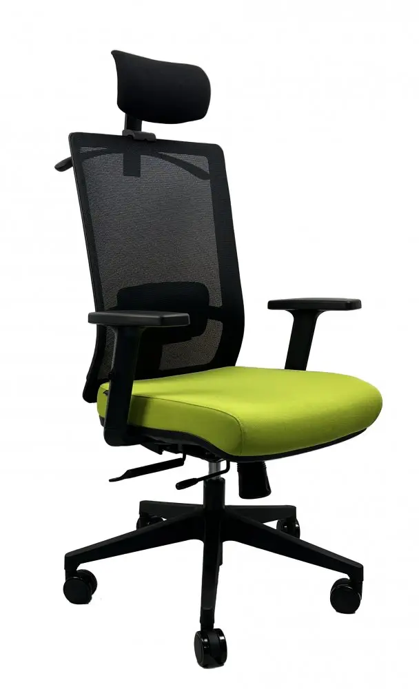 Kancelářská ergonomická židle DVIS — více barev Zelená
