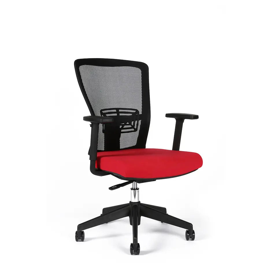 Office Pro Themis BP
