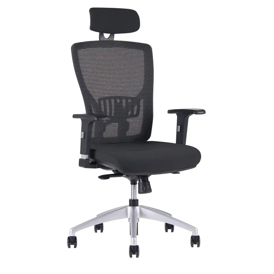 Kancelářská ergonomická židle HALIA MESH SP – s podhlavníkem, více barev Černá 2628