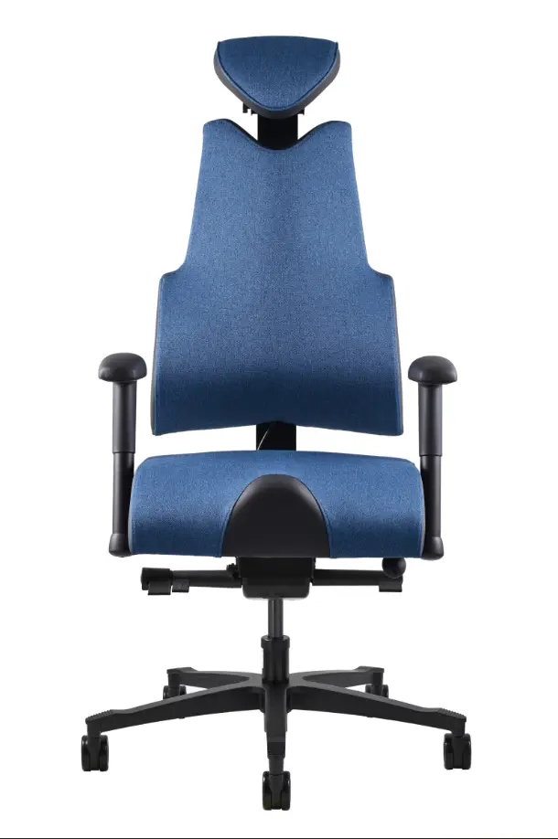 Prowork Therapia Body+